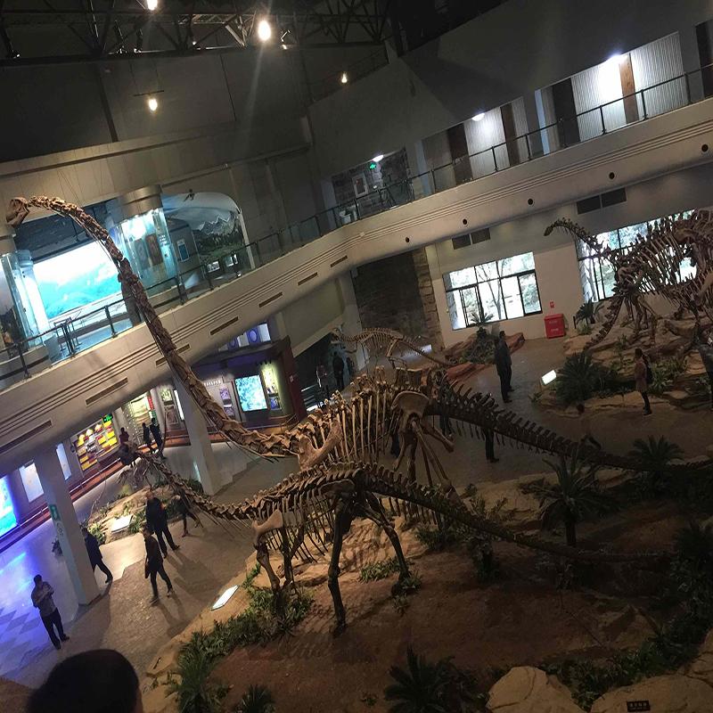 灵武恐龙化石遗址馆