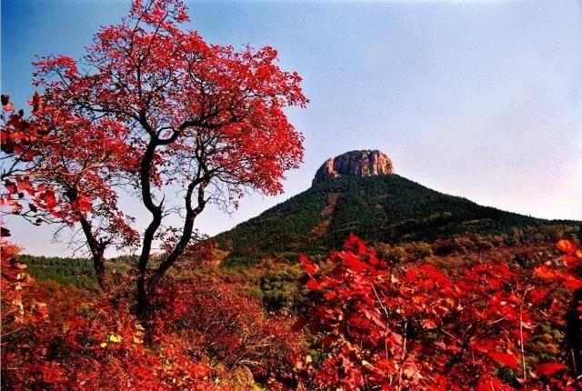 徐州专享 抱犊崮国家森林公园（禁上OTA）